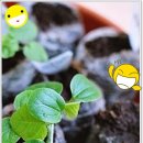 리아허브 이미지