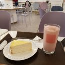 카페엔젤 - 동대문구 왕산로28길 55 | 카페엔젤