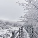 겨울여행 이미지