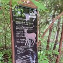 사려니하우스 | 제주 사려니 숲 다녀오기