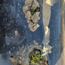 (주)그린아그로 네이버블로그