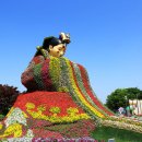 태안 튤립축제 , 일산 꽃박람축제 이미지