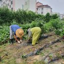 풀꽃작은도서관 이미지