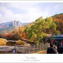 청송 이미지