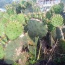 김관수산부인과의원 이미지