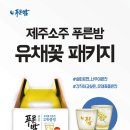 유채유통