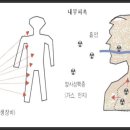 (15) 내부피폭에 대하여... 이미지