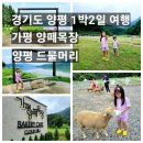 호동목장 | 가평 양떼목장 그리고 드물머리 경기도 양평 1박2일 여행. 아이들과 가기 좋은곳 평일날 가면 사람...