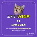 형곡동물병원 이미지