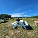 언덕마루 이미지