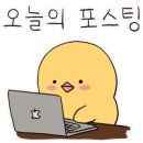 손수네일