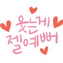 수요일꽃집