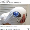 헤인드림 | 우당탕탕 9월 첫째주 일기