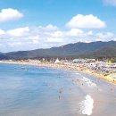 소나무민박 이미지