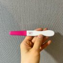 북구보건소(316010) | 포항 북구 보건소 임산부 등록 방법 및 솔직 후기