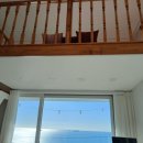 스테이다옴 이미지