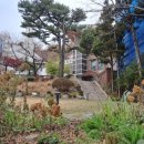 수원-1955 이미지