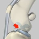 아프리카 동물의료센터 이미지