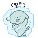 왓츠그루멍 다산 애견미용실 이미지