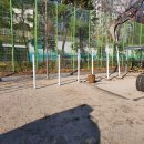 광양중동중학교 이미지