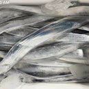 갈치경로당 이미지