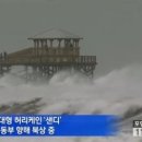 샌디샌디 이미지