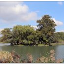 수성랜드 이미지