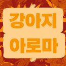 견생공방 | 강아지아로마 수업으로 힐링하고 왔어요! 꼬질꼬질한 우리 아이 견생역전!