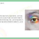 이너시스템