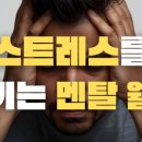 서초중앙로31길 6-3 이미지