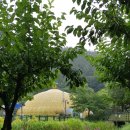 나비공원 이미지