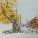 주약초등학교 앞 이미지