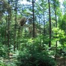 삼태기길 이미지