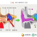 웰키즈소아청소년과의원 네이버블로그