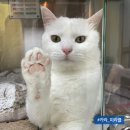 미라클 그루밍 이미지