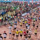 낙동강변17 이미지