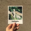 CU 인천부개동 이미지