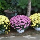 온양생태 이미지