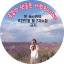 피자에땅내서점 | 피자에땅 신세개피자 포장후기, 코로나 피해서 차콕데이트