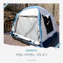 캠프원 | 입문용 차박텐트 추천, 20만원대 비캠프 차박텐트 단독사용 후기