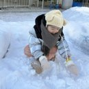 도담쉼터 | 수원 경기도청 경기도담뜰 2026 겨울 눈밭 놀이터 눈썰매 예약 현장예매 놀거리 주차 방문후기