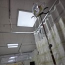 정말로동물병원 | 평택 굿모닝병원 담낭절제술 복강경 후기 응급실 이용 후 2인실 입원까지