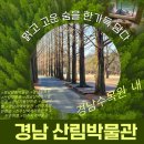 경상남도산림박물관 이미지
