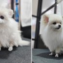 옥산1지구2 이미지