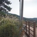 대항주차장 이미지