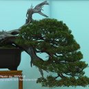 우리들의 아름다운 예술 이미지