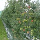 남계농장 이미지