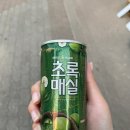 우거지 품은 순대국 이미지