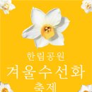 한림공원 수선화축제 2019 이미지