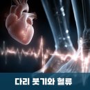 푸른맥흉부외과의원 | 다리 붓기와 빈맥·서맥·부정맥 혈류의 관계, 서면흉부외과 푸른하늘정맥외과